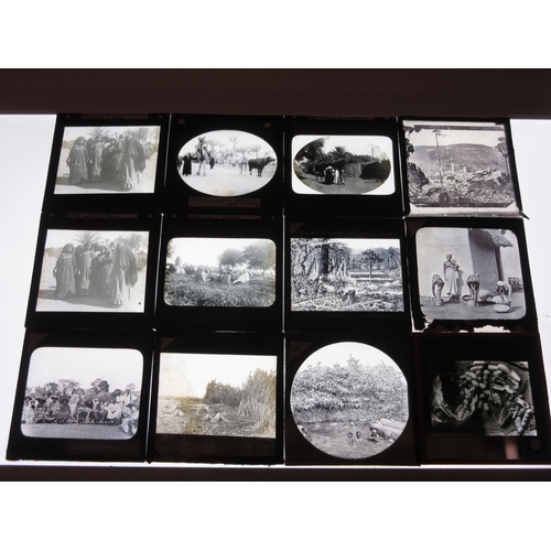 7026 - (Africa, Middle East, British Colonies, Congo, Sierra Leone, Egypt) A collection of approximately 28... 