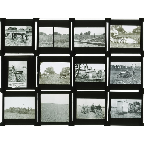 7029 - (Agriculture, farming, local interest) A collection of early 20th Century Magic Lantern glass slides... 