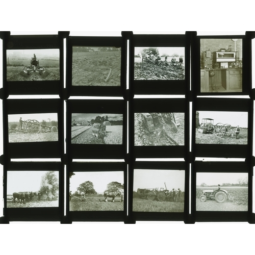 7029 - (Agriculture, farming, local interest) A collection of early 20th Century Magic Lantern glass slides... 