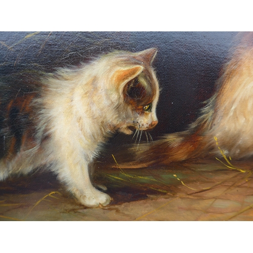 9027 - JACK LEIGH WARDLEWORTH (1863-1925) An oil on canvas, interior scene of cats and barrel. Signed botto... 