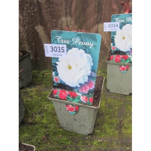 Lot 3035      