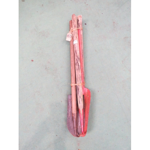 Lot 7007      