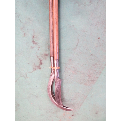 Lot 7009      