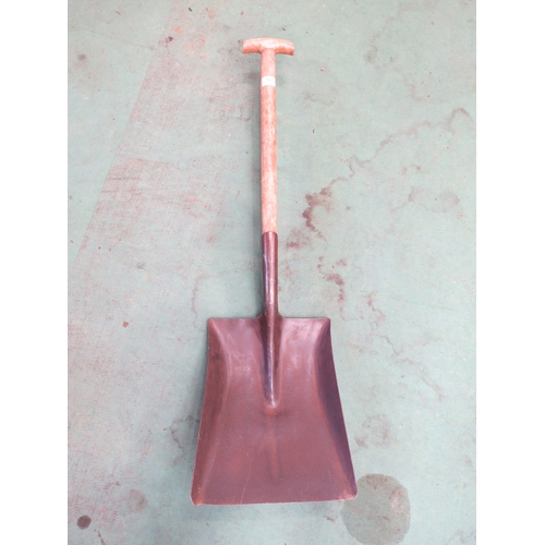 Lot 7010      