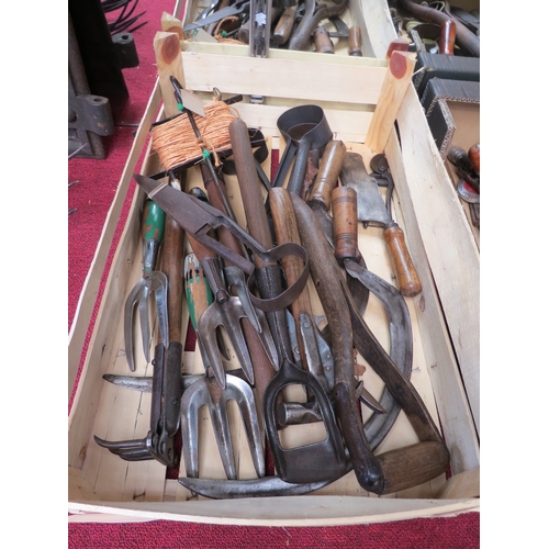 Lot 7024      
