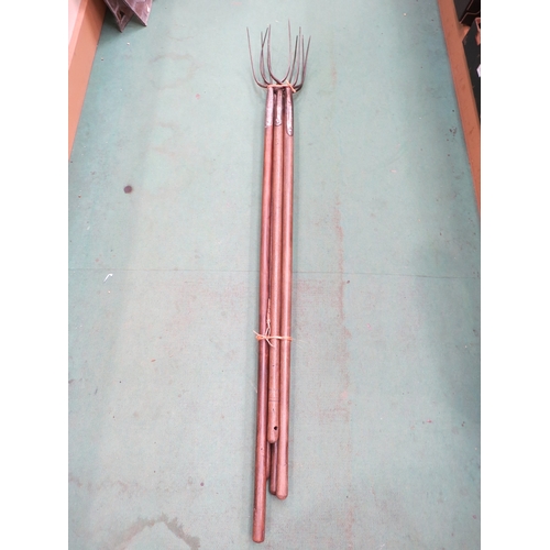 Lot 7029      