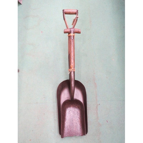 Lot 7030      