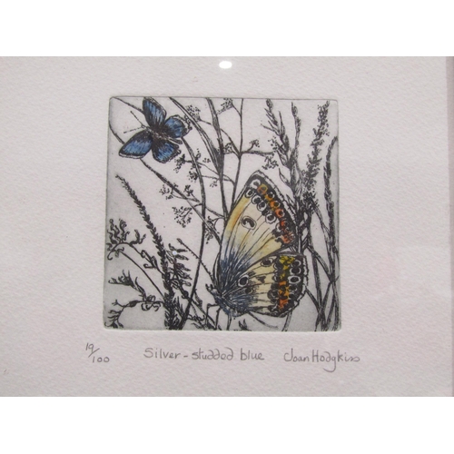 4043 - Two Joan Hodgkiss copper plate etchings: 