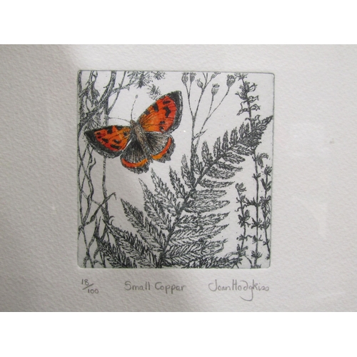4043 - Two Joan Hodgkiss copper plate etchings: 