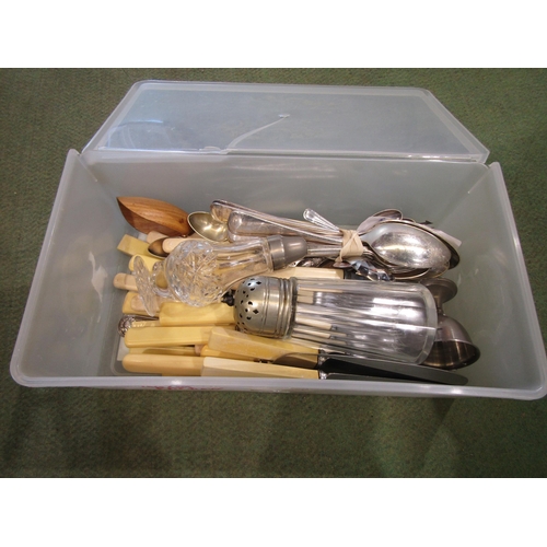 4058 - Two boxes of mixed ceramics and glassware along with plated cutlery and Weylux 