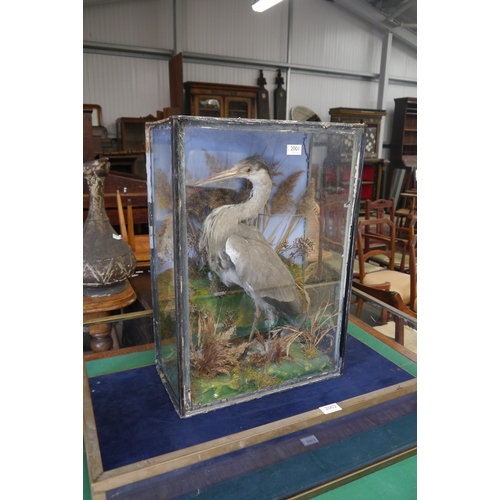 Lot 2001      