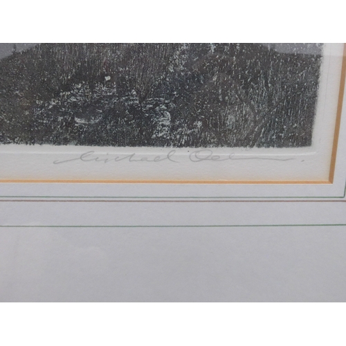 1021 - MICHAEL OELMAN (b.1941) A framed and glazed etching with aquatint 'Rocky Outcrop'. Pencil signed and... 