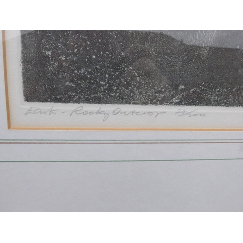 1021 - MICHAEL OELMAN (b.1941) A framed and glazed etching with aquatint 'Rocky Outcrop'. Pencil signed and... 