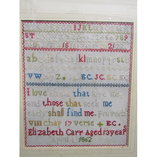 1054 - A Victorian sampler 