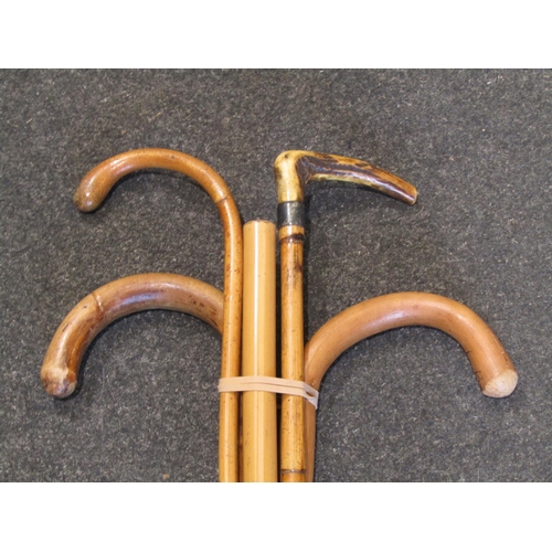 1014 - A shooting stick and five walking canes