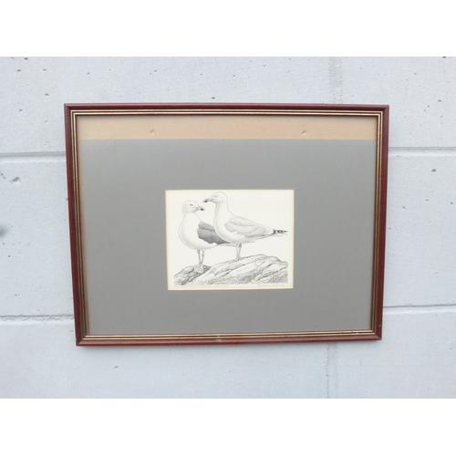 Lot 9060      
