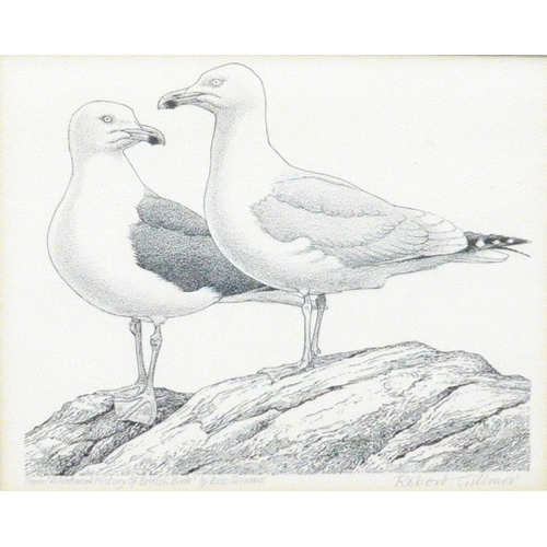 9060 - ROBERT GILLMOR MBE PP SWLA (1936-2022) (ARR) A framed and glazed pen and ink drawing of Gulls, from ... 