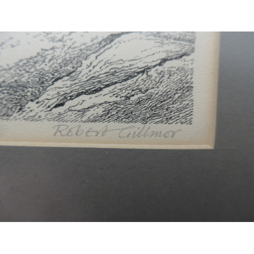 9060 - ROBERT GILLMOR MBE PP SWLA (1936-2022) (ARR) A framed and glazed pen and ink drawing of Gulls, from ... 