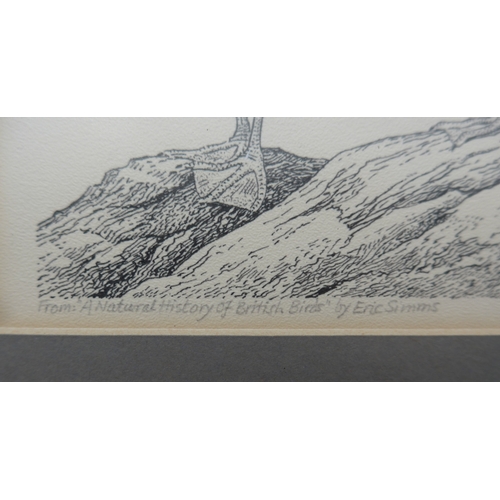 9060 - ROBERT GILLMOR MBE PP SWLA (1936-2022) (ARR) A framed and glazed pen and ink drawing of Gulls, from ... 