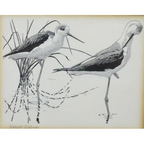 9058 - ROBERT GILLMOR MBE PP SWLA (1936-2022) A framed and glazed pen and ink drawing of a pair of Black Wi... 