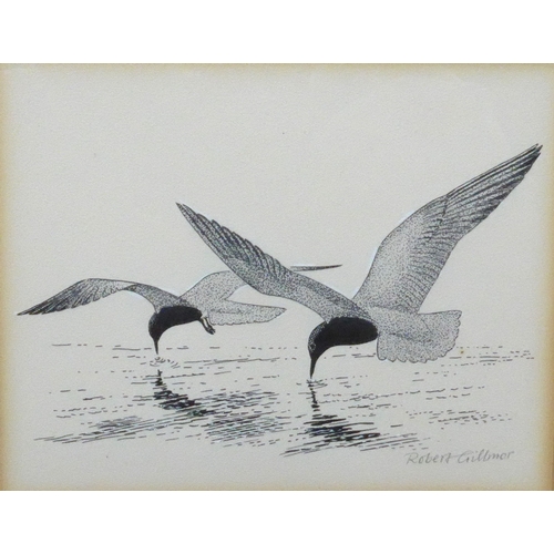 9059 - ROBERT GILLMOR MBE PP SWLA (1936-2022) A framed and glazed pen and ink drawing of a pair of Black Te... 