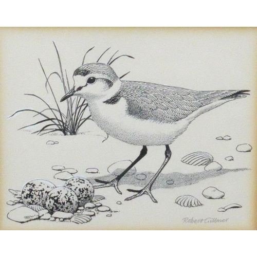 9057 - ROBERT GILLMOR MBE PP SWLA (1936-2022) A framed and glazed pen and ink drawing of Little Ringed Plov... 