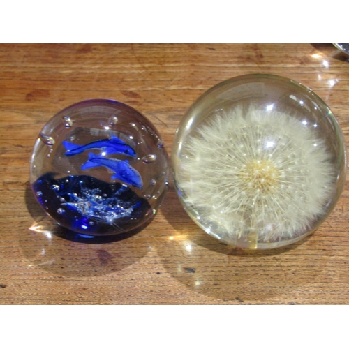 4059 - A Bristol blue glass cat, a pair of resin Egyptian cats, a paperweight with two dolphins, a resin pa... 
