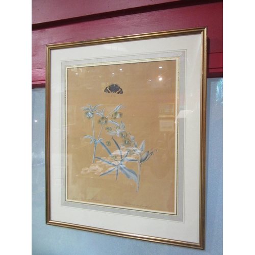 4011 - A Victorian botanical study of 'Green Flowering Hellebore - Hellebore or Bearsfoot', with tortoisesh... 