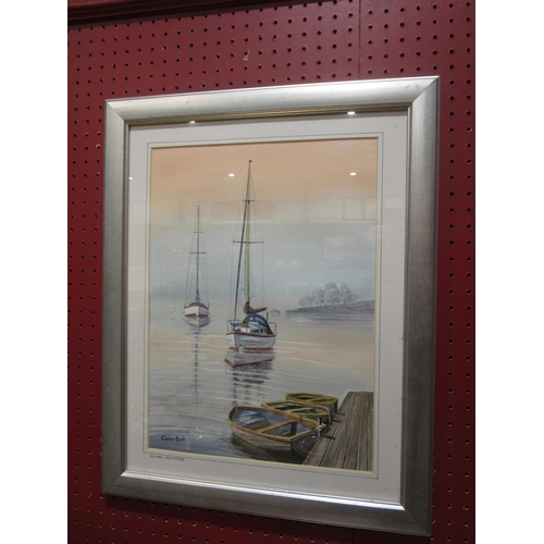 4019 - COLIN BALL: Two framed and glazed watercolours, signed bottom left and titled 