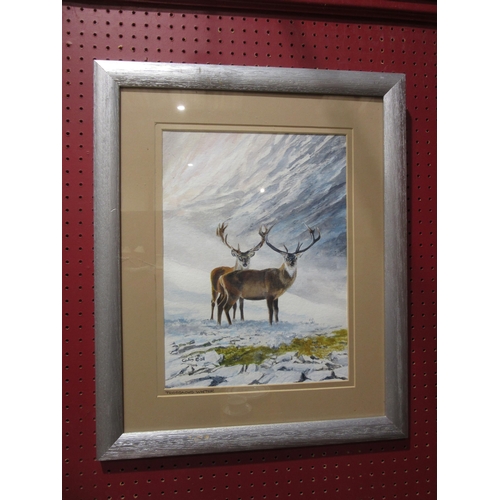 4019 - COLIN BALL: Two framed and glazed watercolours, signed bottom left and titled 