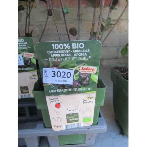 Lot 3020      