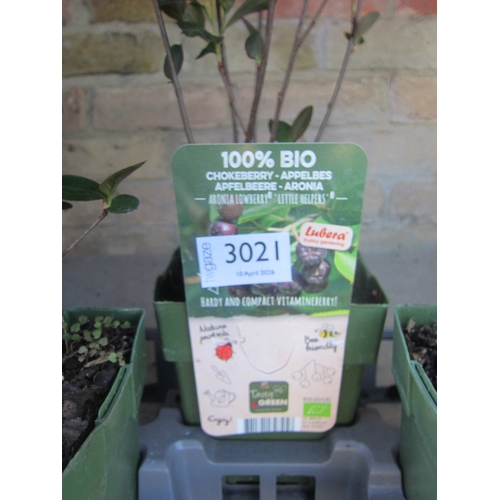 Lot 3021      
