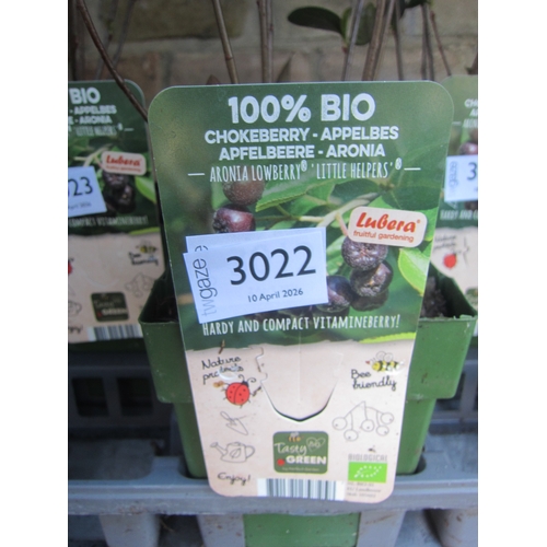 Lot 3022      