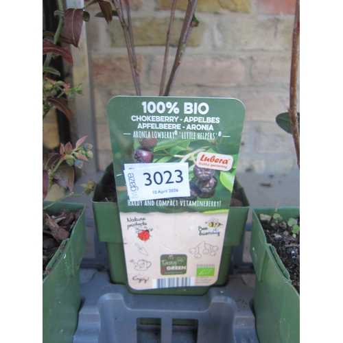 Lot 3023      
