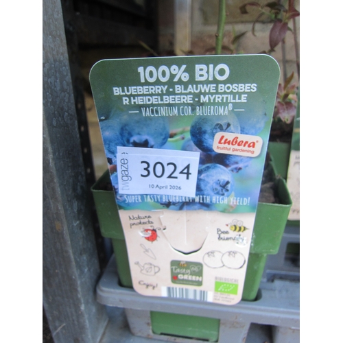 Lot 3024      