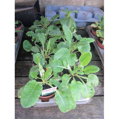 Lot 3056      