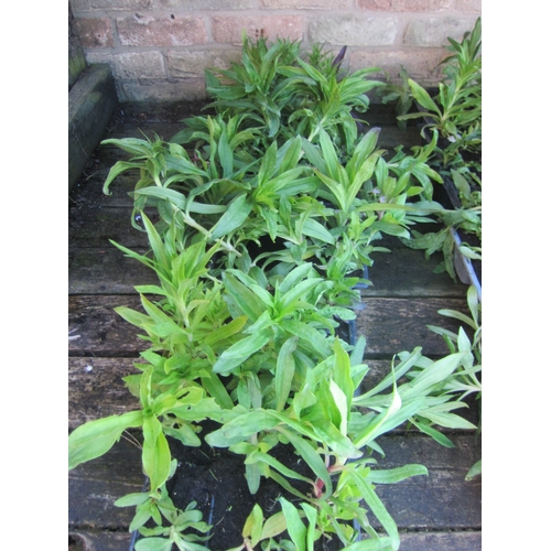 Lot 3060      