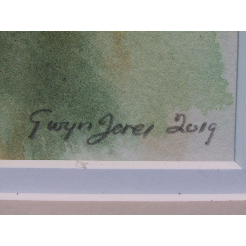 1044 - GWYN JONES 2019: 