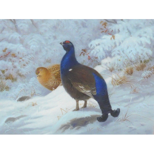 9055 - RICHARD ROBJENT (b.1937) A framed and glazed watercolour and bodycolour of a Pair of Black Grouse in... 