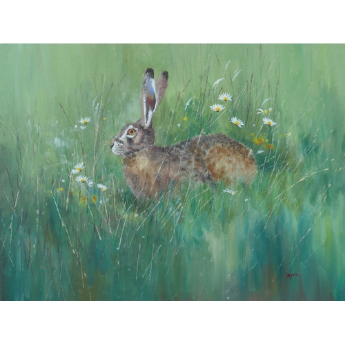9056 - A 21st Century contemporary Artist 'Ryan' gouache on paper of seated Hare in meadow.  50cm x 63cm