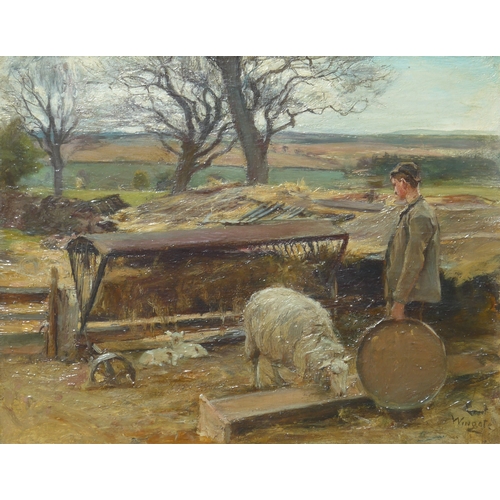 9021 - JAMES LAWTON WINGATE (1846-1924): An oil on board, Feeding the Ewe, Muthill, Perthshire. Signed bott... 