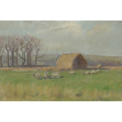 9020 - ALEXANDER C.W. DUNCAN (XIX-XX): An oil on canvas of sheep grazing in a meadow, signed lower right, 2... 