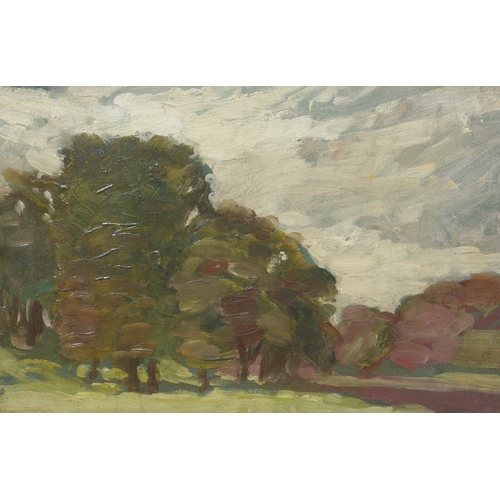 9026 - Attributed to Hugh Munro (1873-1928) An oil on board study of Trees. Unsigned. Labels verso with att... 