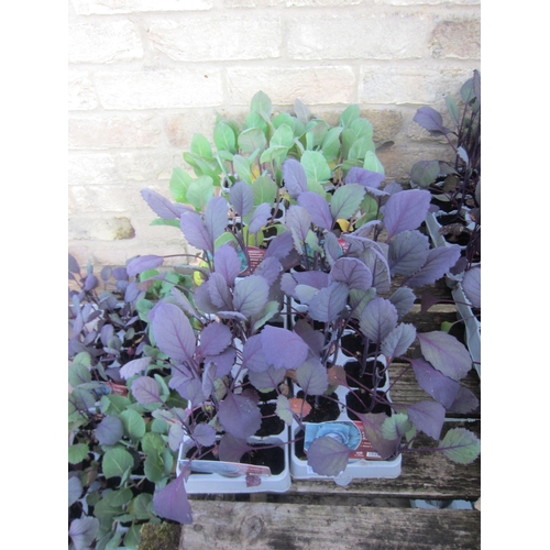 Lot 3006      