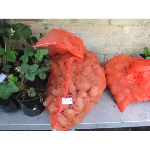 Lot 3018      