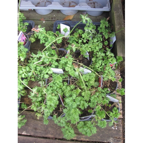 Lot 3053      