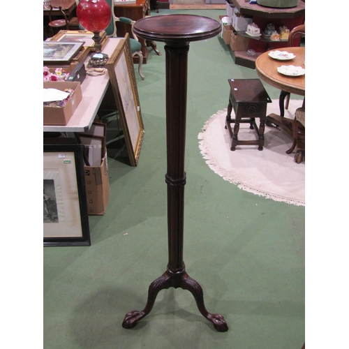 Lot 4037      
