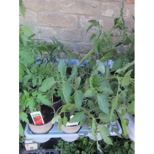 Lot 3014      