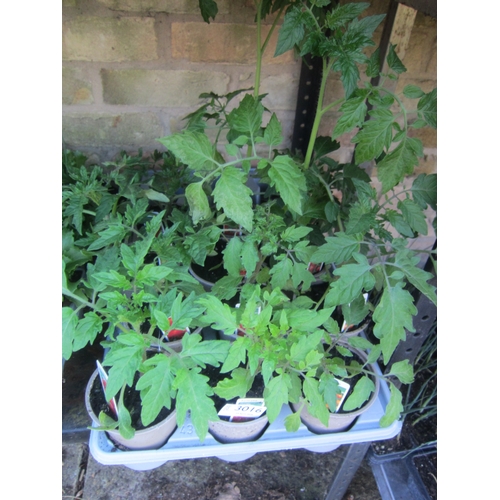 Lot 3016      