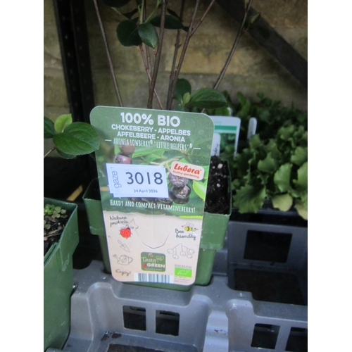Lot 3018      